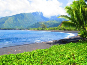 Tahiti Surf Beach Paradise